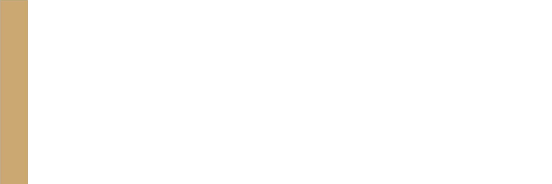 Paul David Thompson Logo